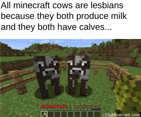 ever thaught about that (I SUPPORT LESBIANS) - meme