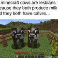 ever thaught about that (I SUPPORT LESBIANS)