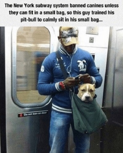 Smart - meme