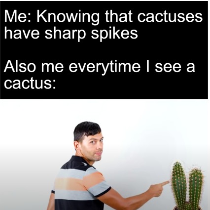 POV: you see a cactus - meme