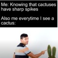 POV: you see a cactus