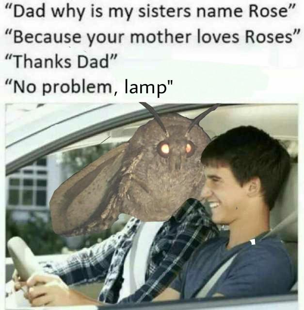 Moth boi - meme