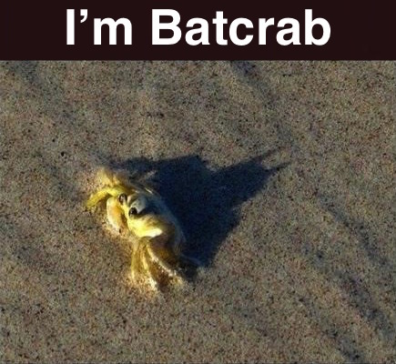 I have given a name to my pain, and it is Batcrab. - meme