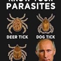 Know your parasites