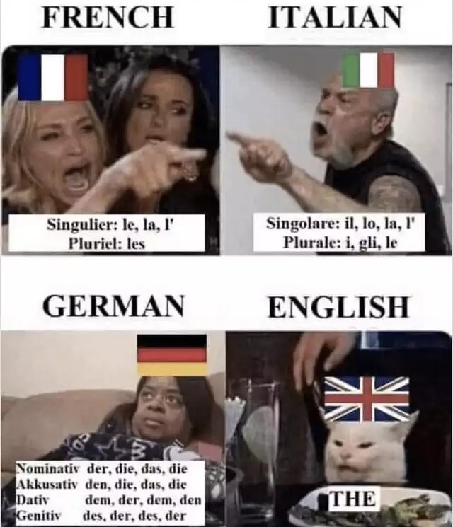 Languages are Fun - meme
