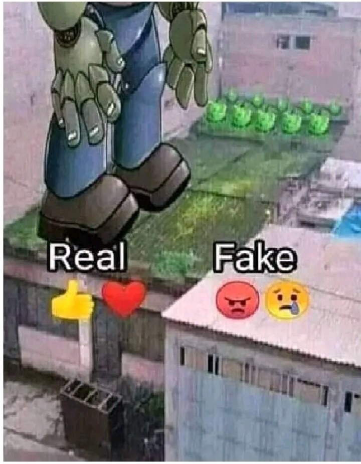 Real o fake - meme