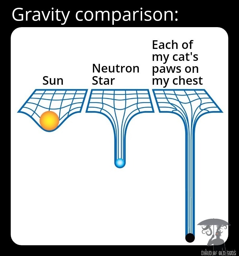 Gravity comparison. My cat edition - meme