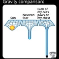 Gravity comparison. My cat edition