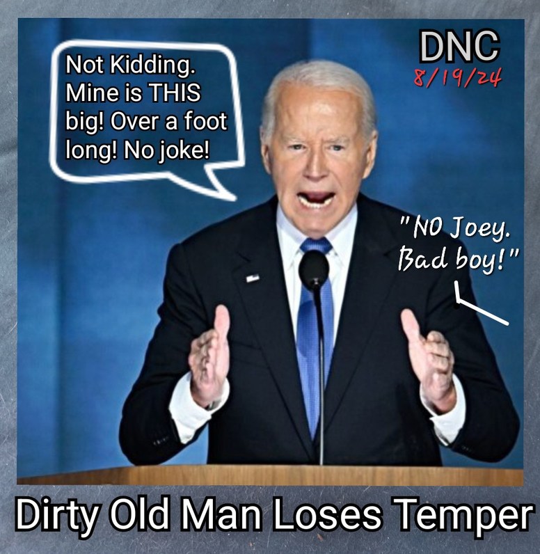 Too Demented To Run For Re-election But Fine To Run The Country - meme
