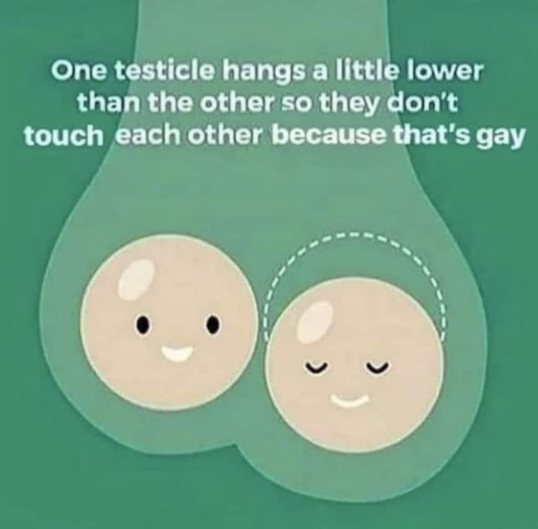 Facts - meme