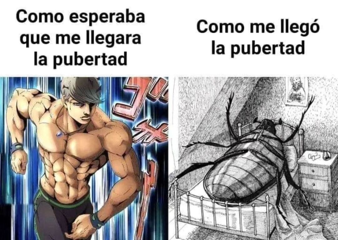 hace un chingo de sueño alv - meme