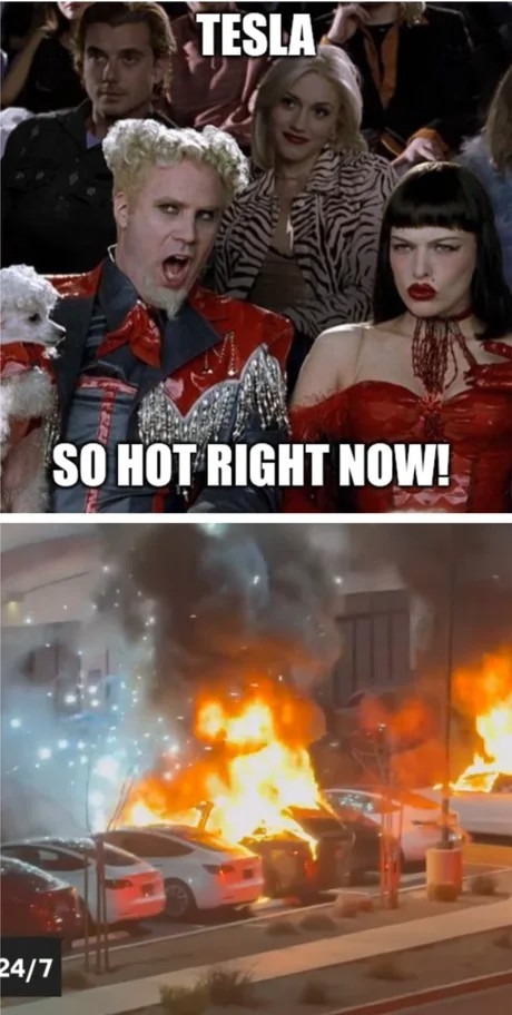 Tesla stockholders right now - meme