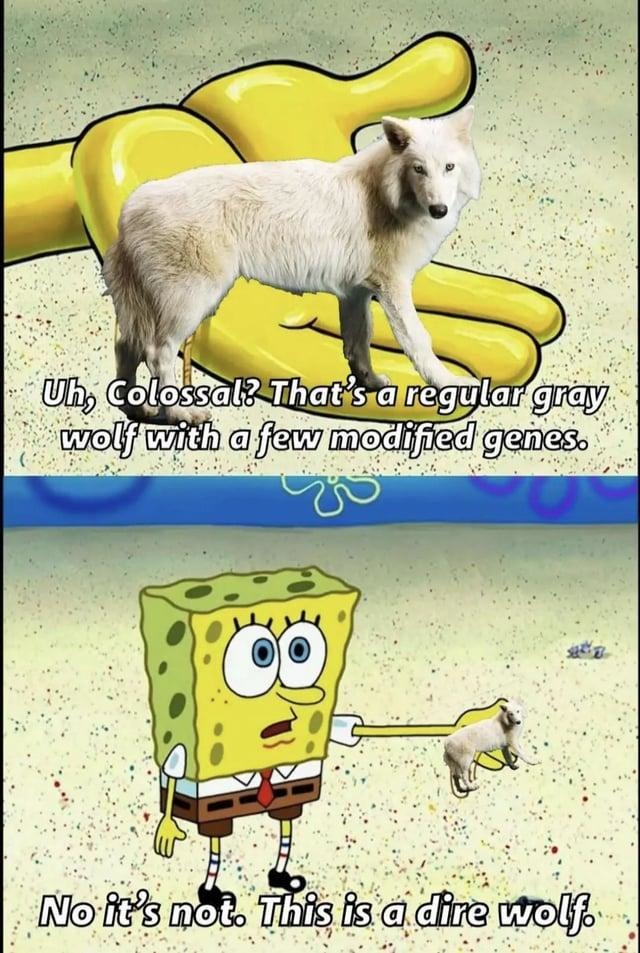 That's not a dire wolf, that’s a rainbow-coded furry nightmare - meme