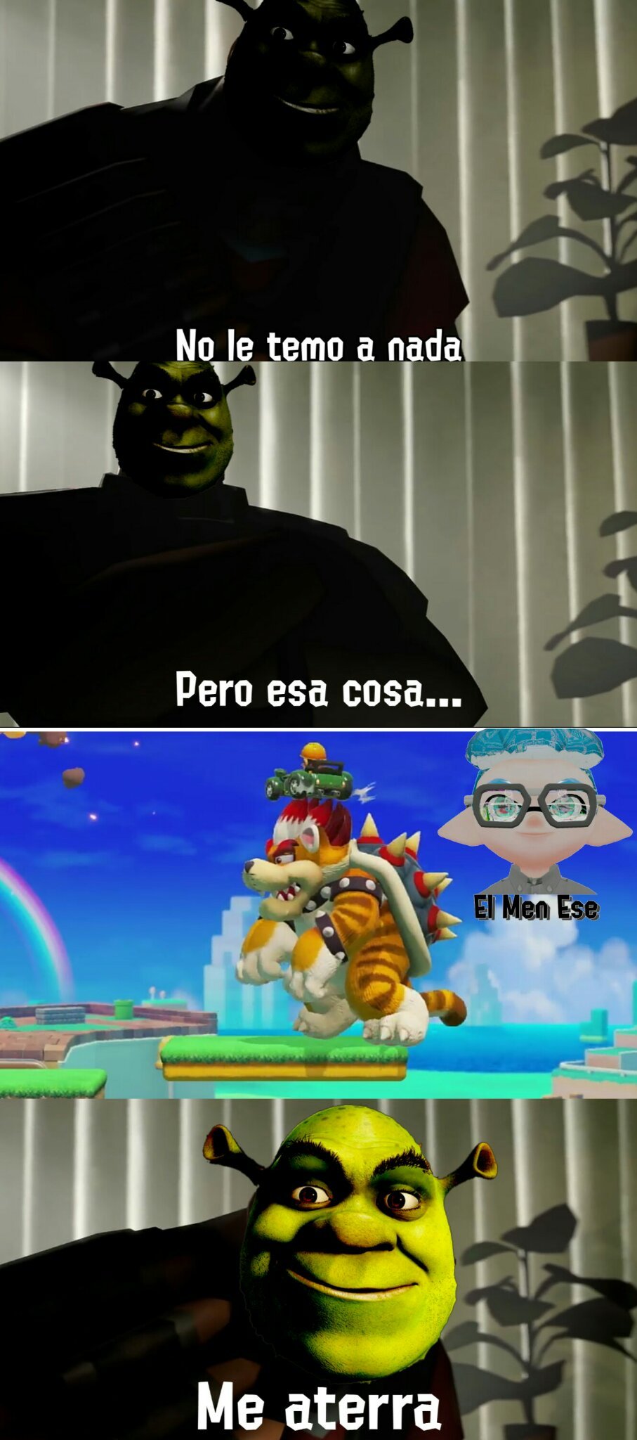 Tortuga+Gato+Mapache, Que puede salir mal? - meme