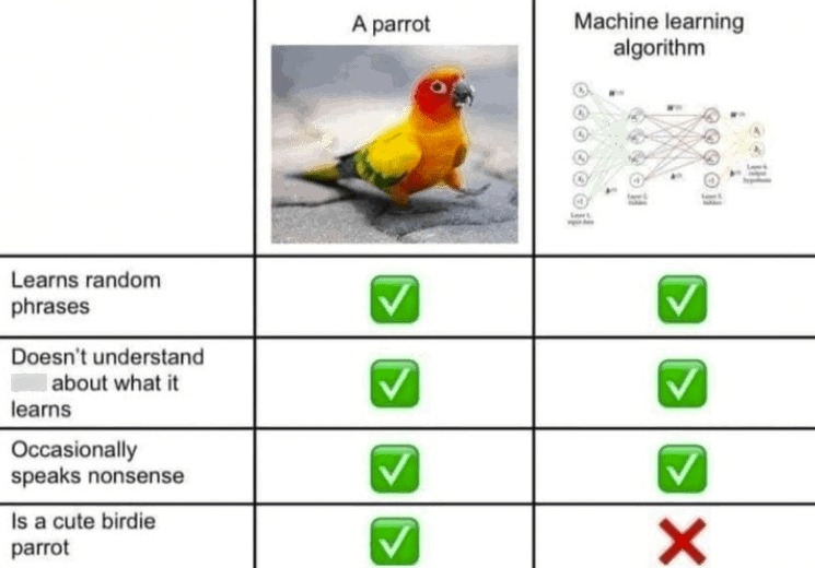 Birb - meme