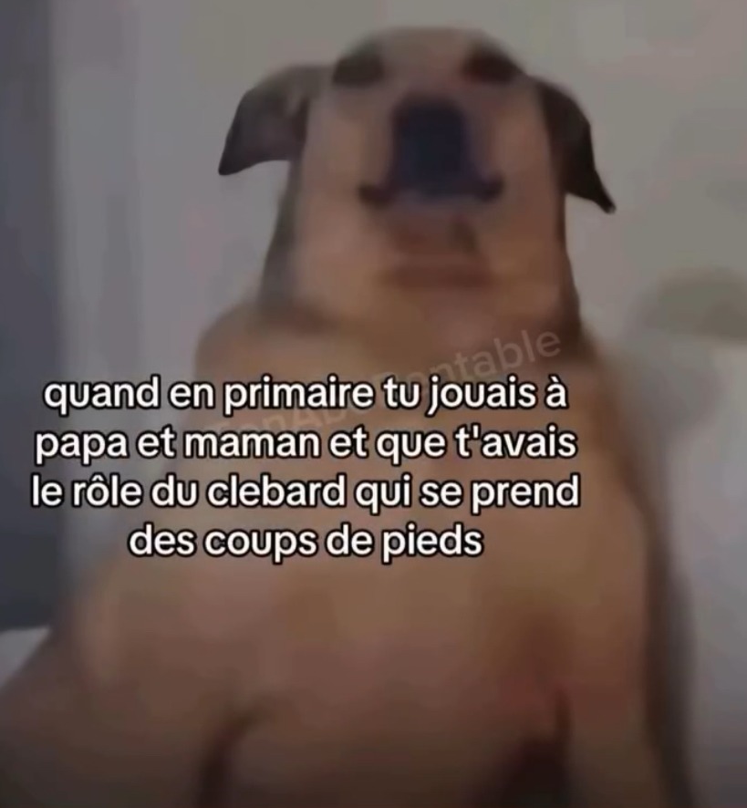 comme d’hab - meme