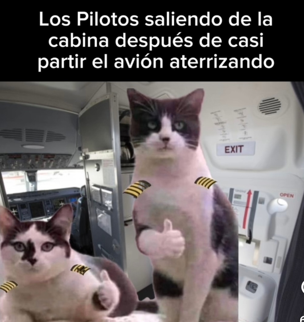 Los pilotos saliendo como campeones tras casi estampar el avión - meme