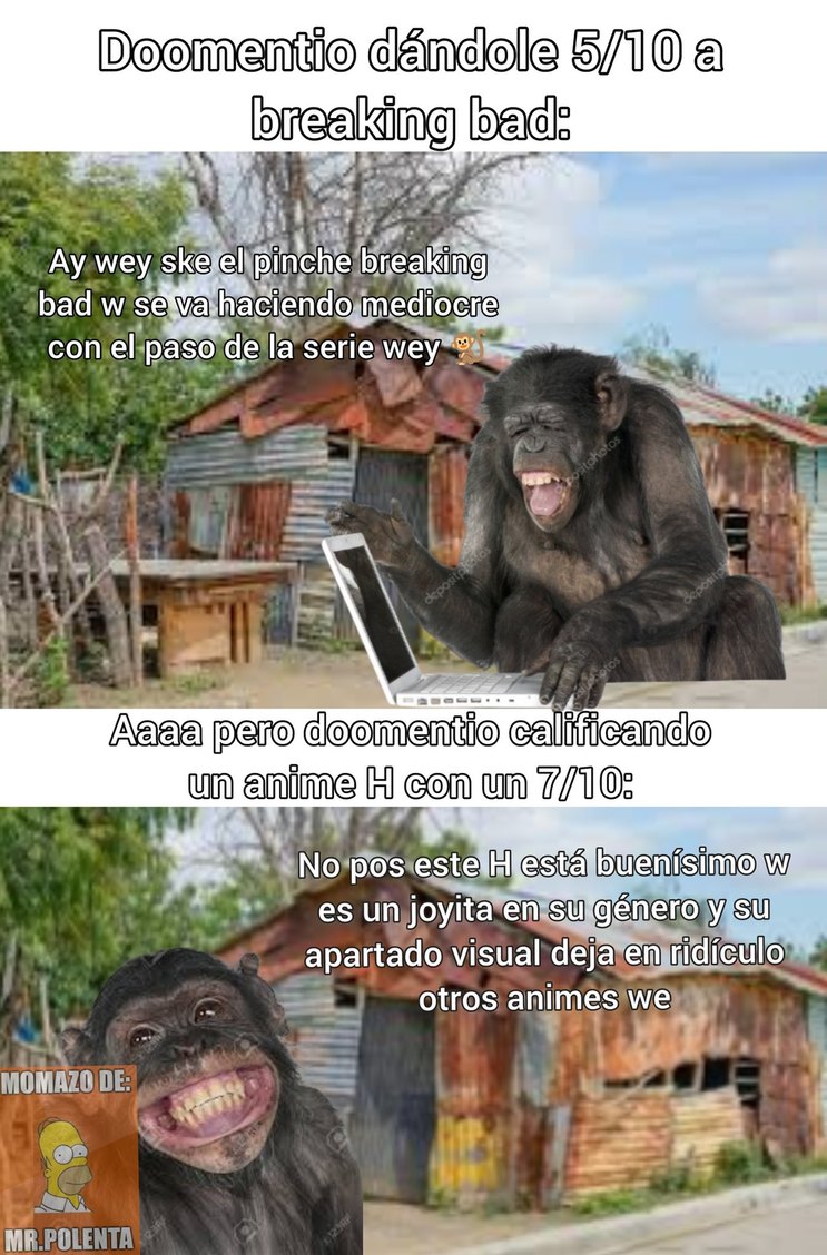 Queso - meme