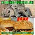El señor "ratas locas" McDonalds