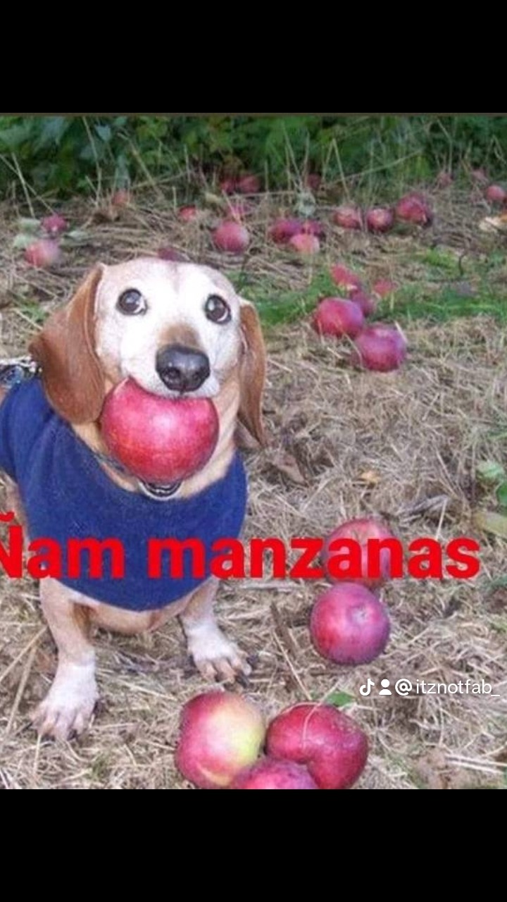 Ñam manzanas - meme
