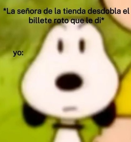 Vale igual doña - meme