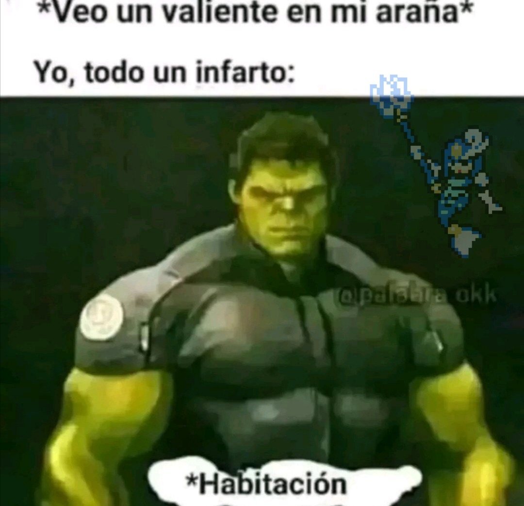 :omgrun: hay un valiente en mi araña - meme
