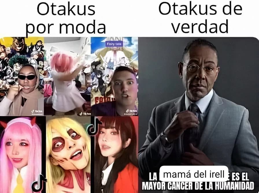 Mamá de irell gordaza - meme