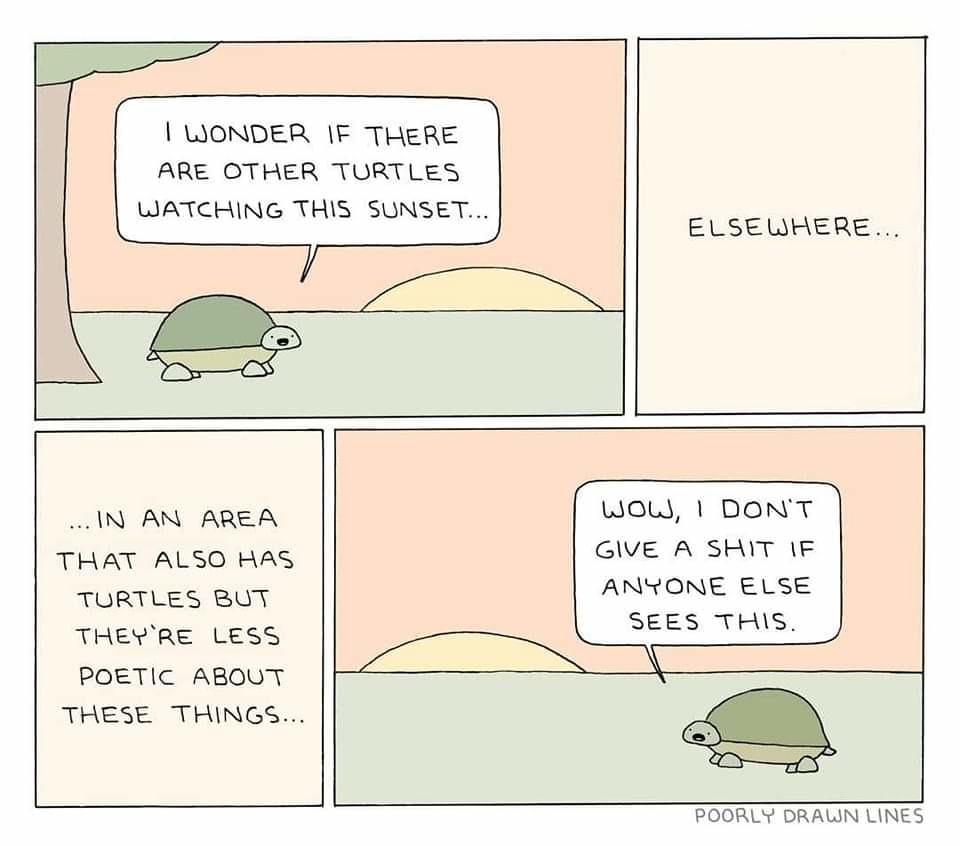I feel you, second turtle - meme