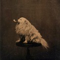 140 years ago people were taking silly photos of their puppers