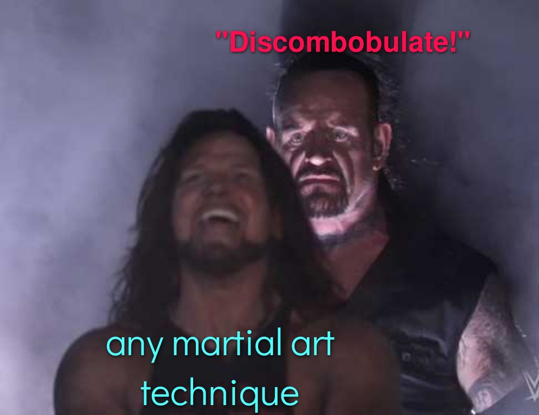 Discombobulate > any martial art - meme