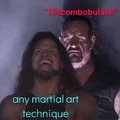 Discombobulate > any martial art