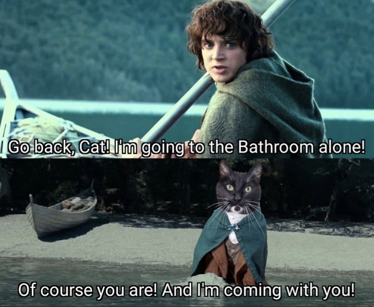 funny cat and the lord of the rings meme