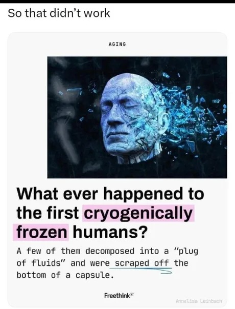 First cryogenically frozen humans - meme