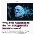 First cryogenically frozen humans
