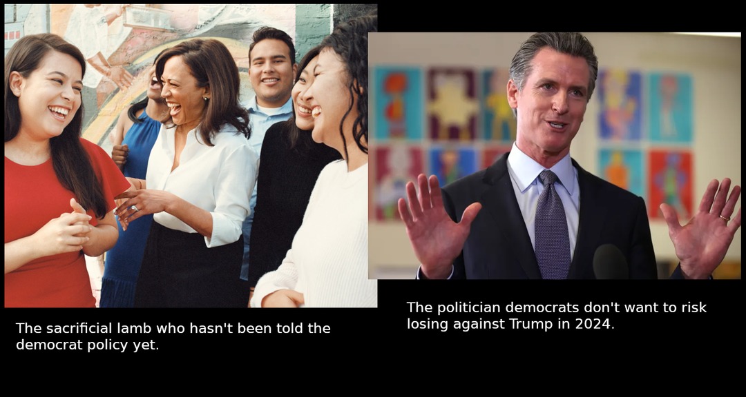 A British Interpretation of US Elections, 2024 - meme