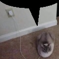 commented item thumbnail