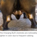 STOP RUBBING THOSE TESTICLES