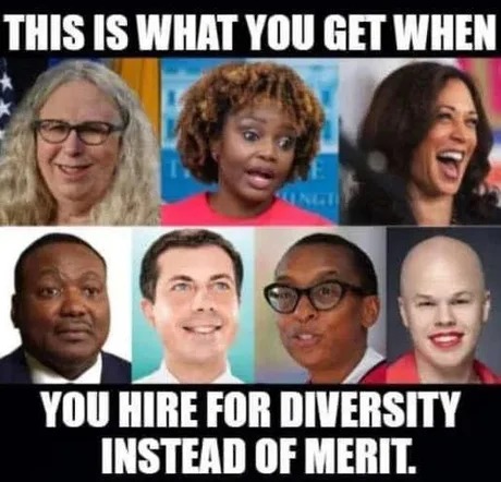 Diversity instead of merit - meme