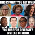 Diversity instead of merit
