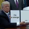 It's a "an orange", you orange MAGAfucka
