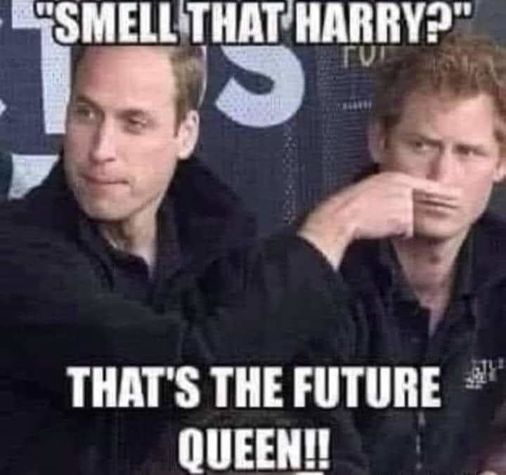 It's the Queen's gush... - meme