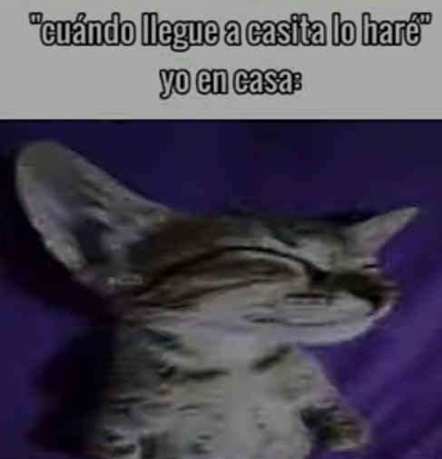 Suele pasar :v - meme
