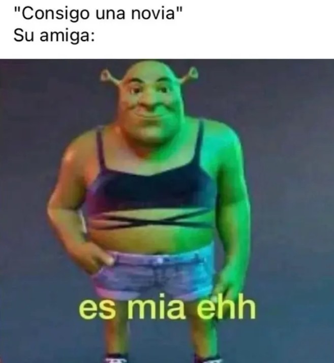 Pinche termotanque genocida de hamburguesas - meme