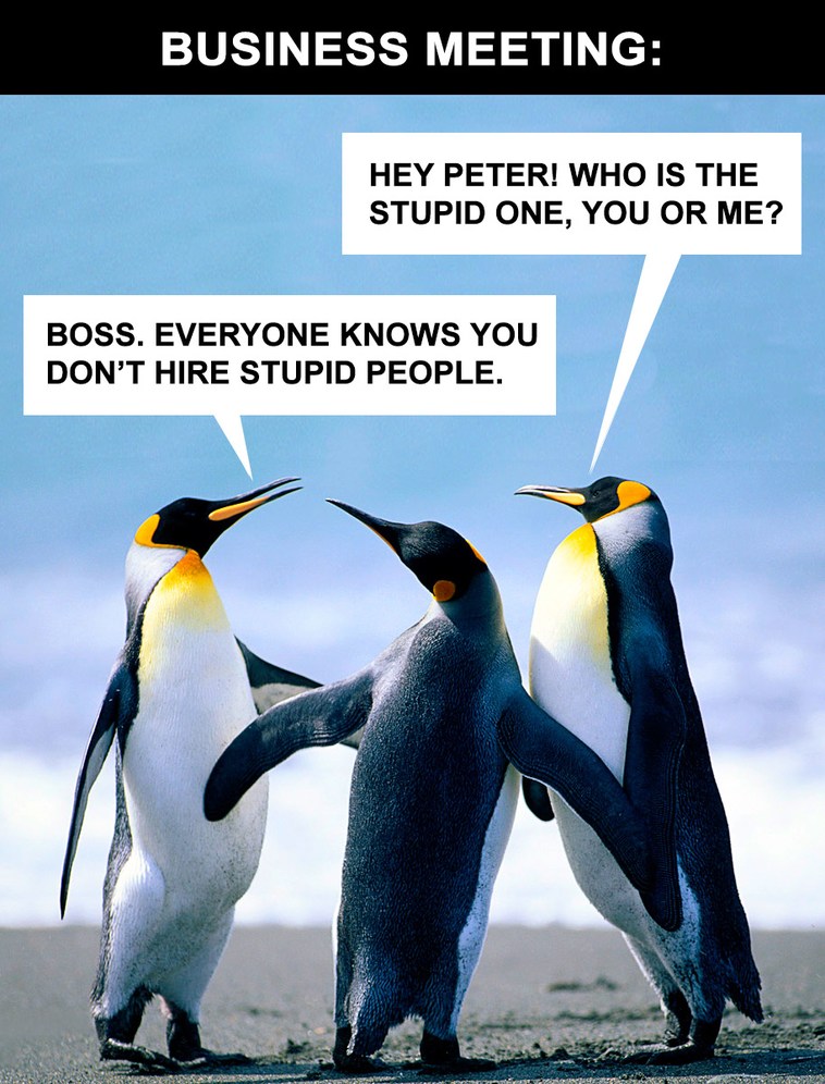Business Meeting - meme