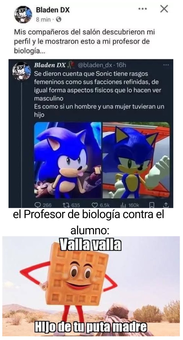 Baia baia hijo de tu pura madre - meme