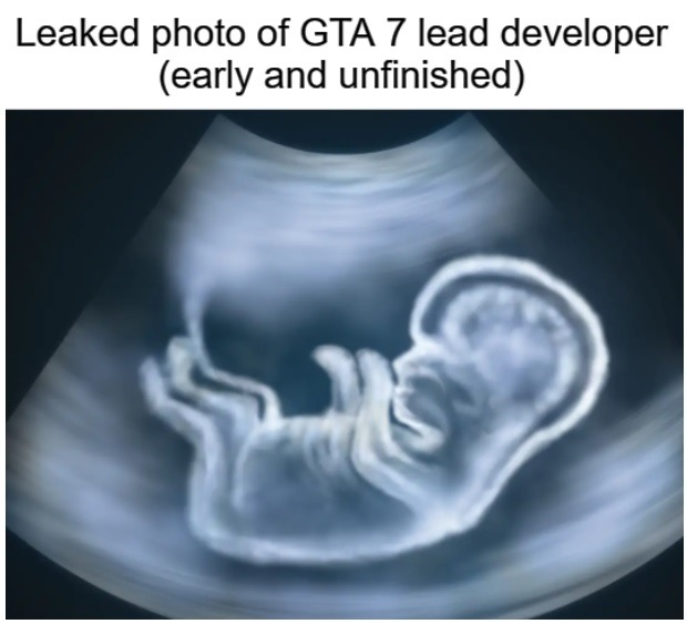 Leaked photo of GTA 7 lead developer - meme