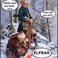 Elfbar