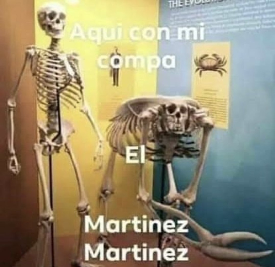 El Martínez Martínez - meme