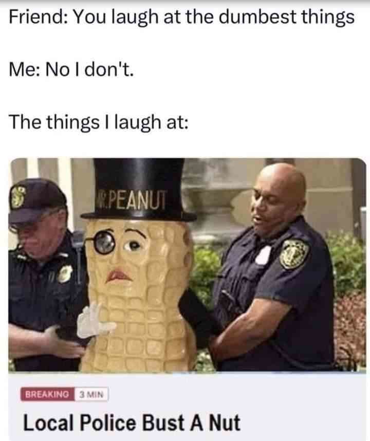 Cops bust a nut - meme