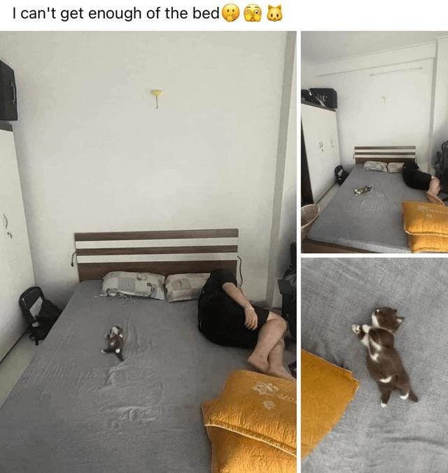 The best Sleepmemes memes :) Memedroid